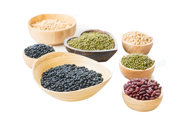 Pulses & Beans